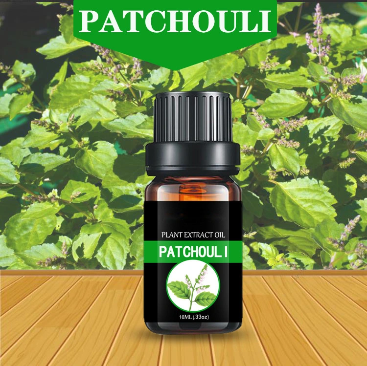 Patchouli Essential Oil Medicinal Grade Fragrance Essential Oil Plant Extract