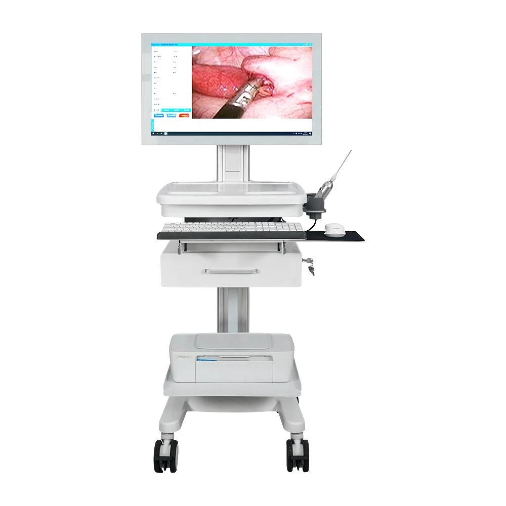 Portable Minimally Invasive Surgery Medical Endoscope Camera System Portable Ent Endoscope