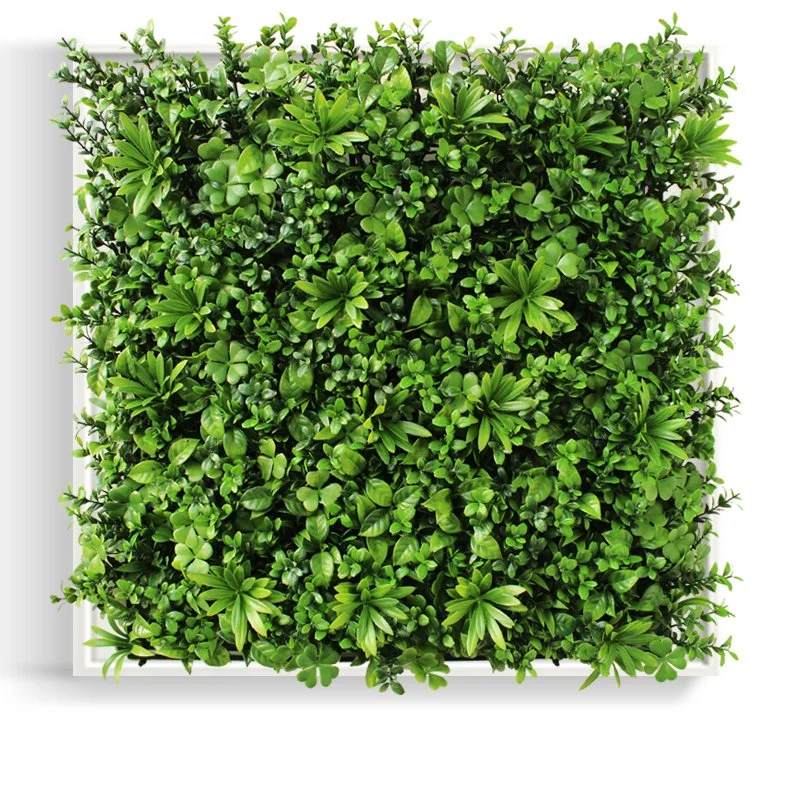 UV Protection Boxwood Plant Artificial Grass Wall Panels Plastic Artificial Green Wall Artificial Plant Wall Panel