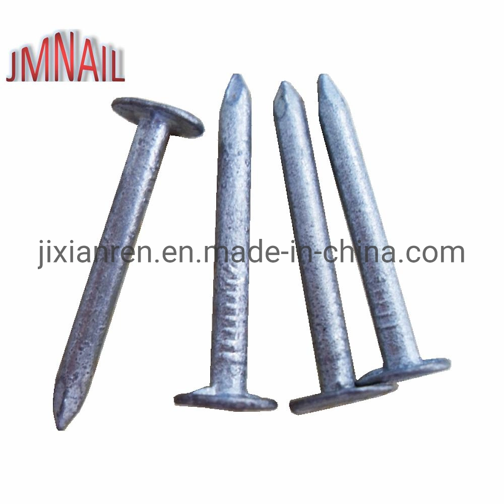 1"Xbwg11 Hot Bunded Galvanized Roofing Nails