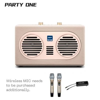 100W Loud Power Dual DSP Party Speaker Karaoke Player Wireless Micphone