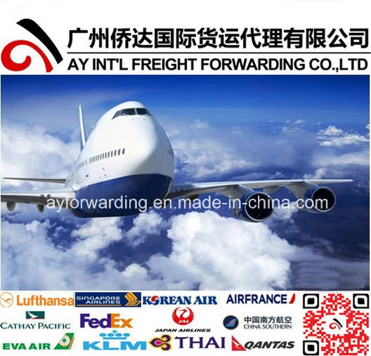 خدمة النقل الجوي إلى هاملتون من الصين