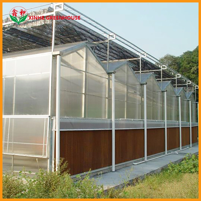 PC Board Greenhouse Dustproof Prevent Mist Pollution Prevention