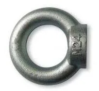 High Quality Lifting Rigging Eye Nut Marine Hardware DIN582