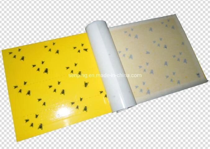 Hongo Gnat Cartón amarillo papel adhesivo pegajoso de la trampa de insectos Catcher Killer volar los pulgones polilla avispa Mosca avispa Sticky Board Trampa de insectos