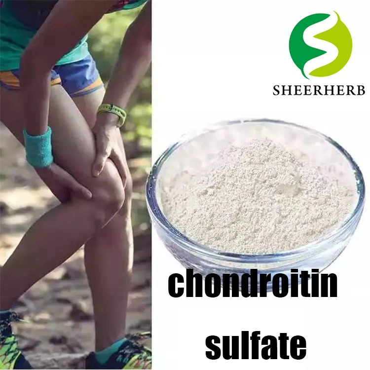 La glucosamina condroitina Osteoartritis de la condroitina Sulfatehigh Anti a granel de calidad el mejor precio