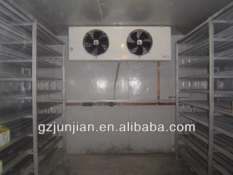 Fabricante Caminata almacenamiento de pescado frío Congelador frío Sala de refrigeración Unidad