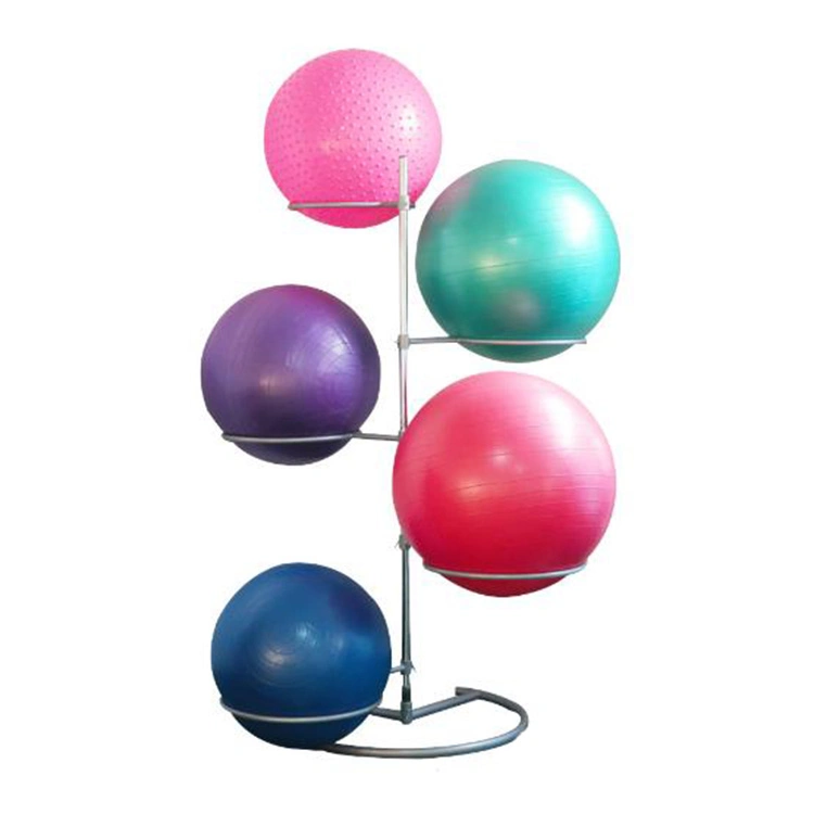 Accessories Gym Equipment Yoga Ball Rack Free Weight