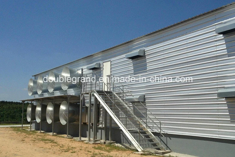 Prefabricated Steel Structure Poultry House/Chicken House (DG6-006)