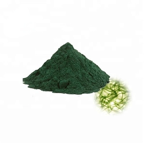 Supplement Tablet/Powder Super Food Chlorella