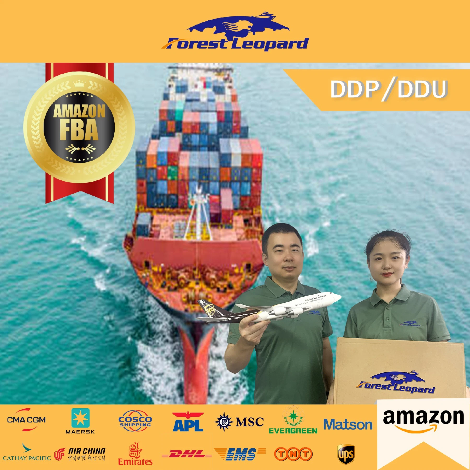 Freight Forwarder to USA/UK/Italy/France/Nl /Germany Fba Amazon by Air Freight Shipping From China DDP Door to Door Service