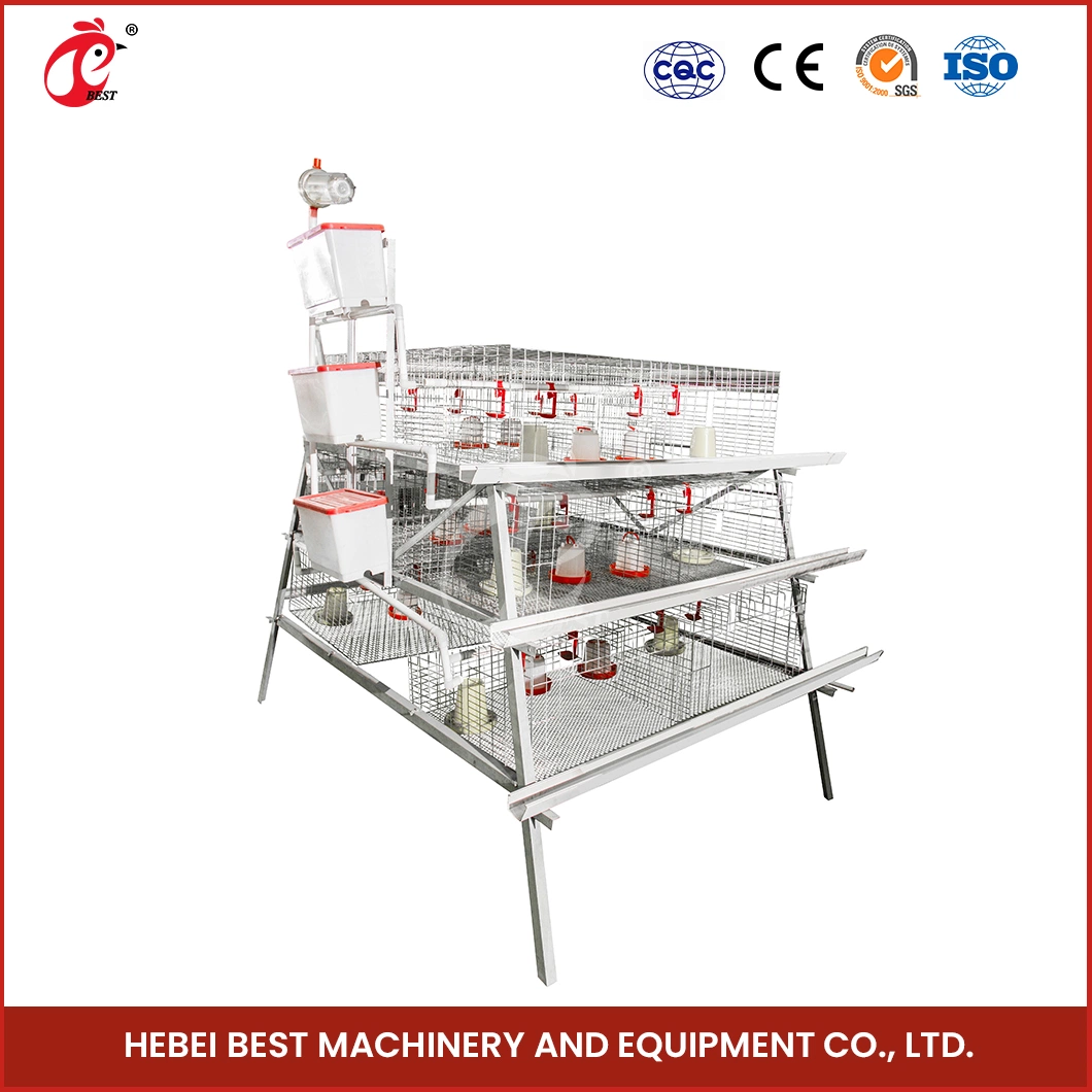 Bestchickencage China Battery Cage for Chicken Manufacturing a Frame Automatic Broiler Cages OEM Customized Save Space Durable Large Chicken Cage