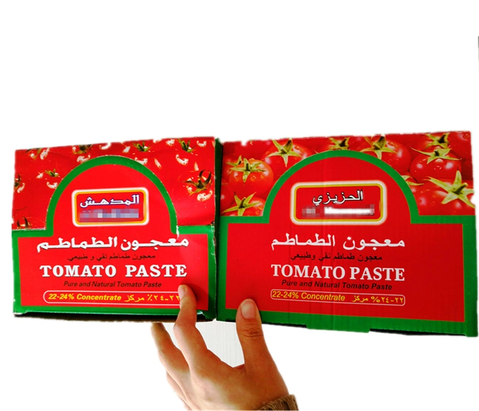 70G*25*4 Al-Mudhish Bolsa de marca de pasta de tomate del 22 al 24% Brix, Línea de producción de puré de tomate