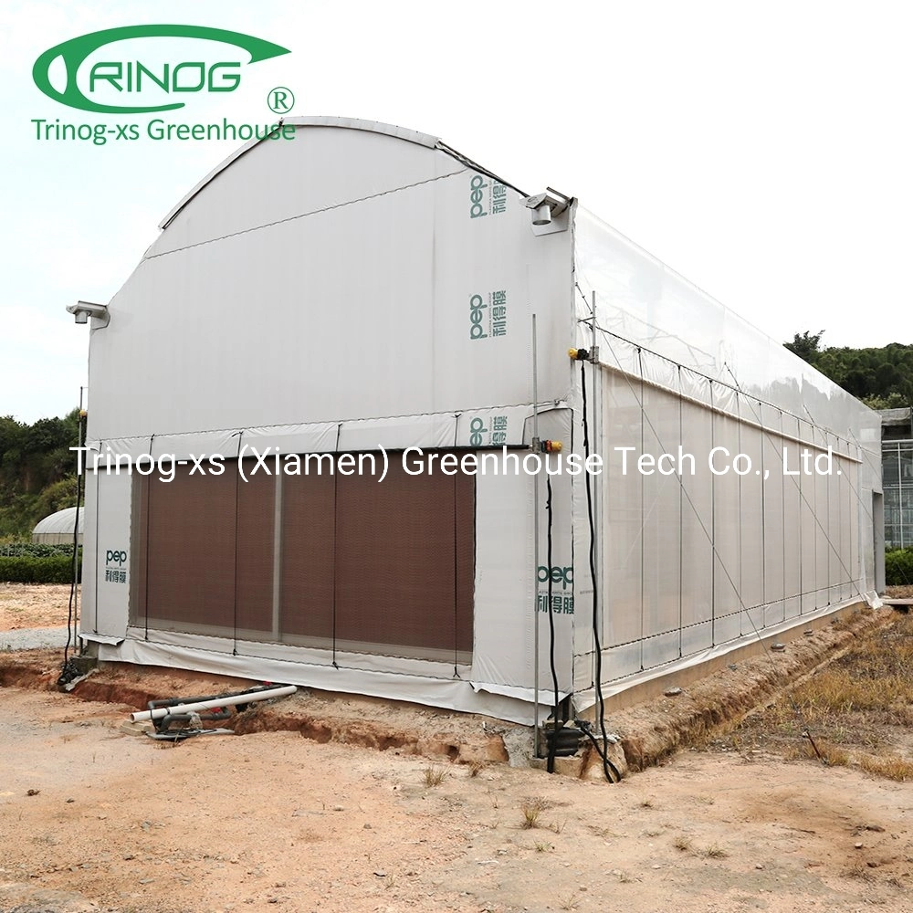 Trinog Greenhouse Full auto blackout shading screen smart green house for medical herb planting