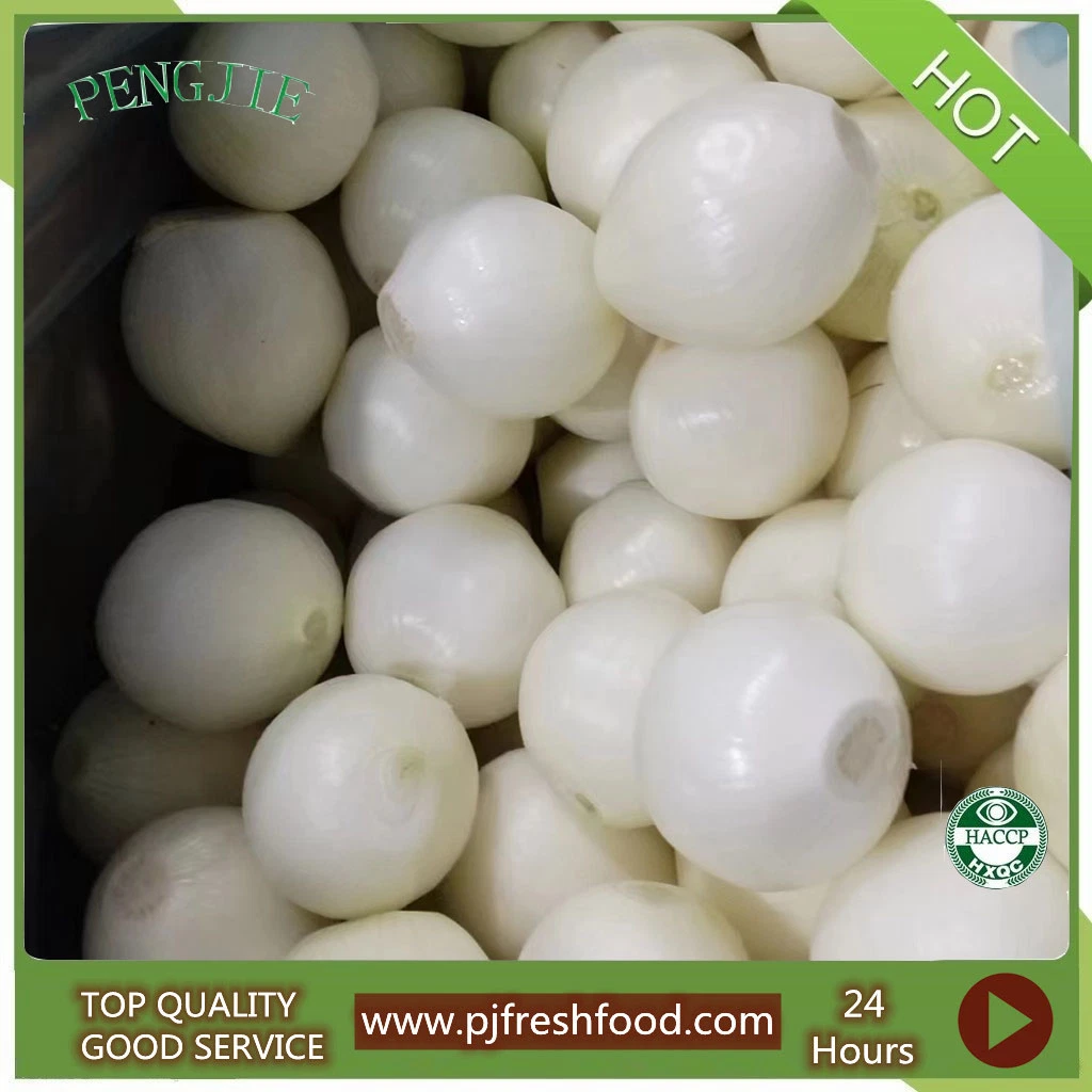 Frozen Food Frozen Peeled Onion Strips IQF White Slices/Dices/Chunk Onion for Exporting