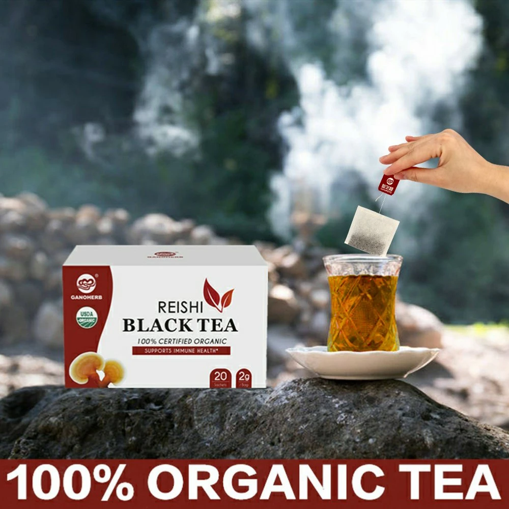 Chine Custom Black Tea étiquette privée Herbal Healthy Organic Reishi Champignon Ganoderma Lucidum thé rouge instantané pour améliorer le système Immue