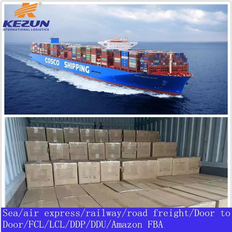 Top Logistics Company FCL LCL Cargo Ship Price Shipping Forwarder Sea Freight Agent From China to Oman with Customs Clearance