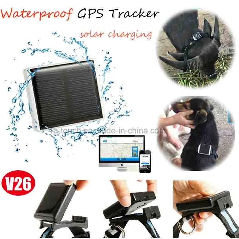 Новые развитых IP67 водонепроницаемый 2G GSM солнечная энергия GPS Tracker для животных крупного рогатого скота коровы овец с отслеживания истории V26