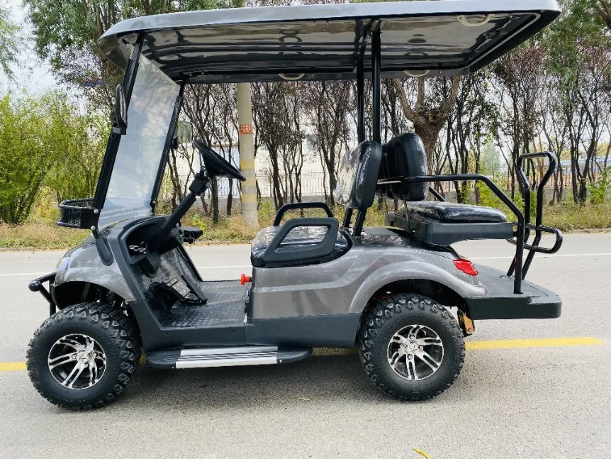 Chine Brand New Type 4 Wheel Electric Club Car Golf Cart for Sale Golf Buggy