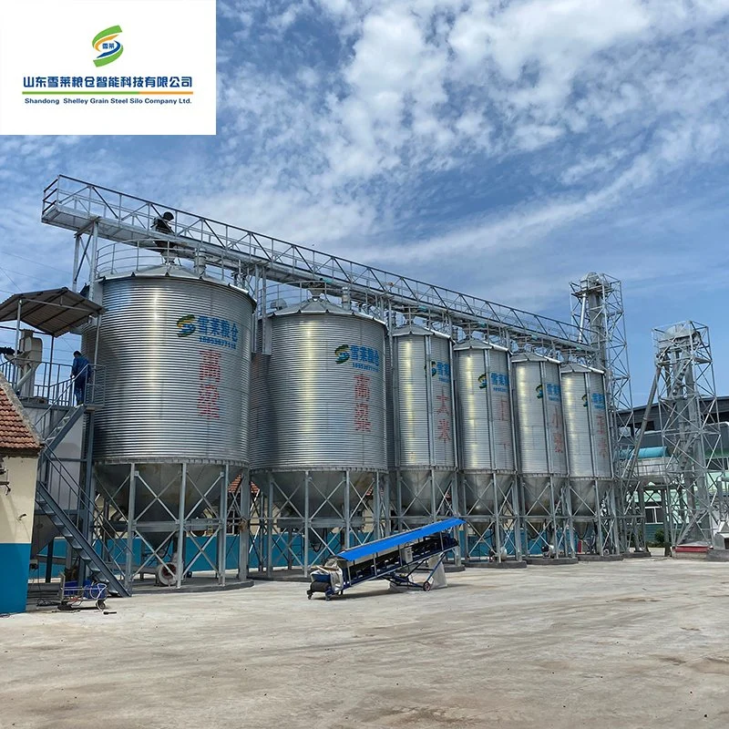 200t Maize Corn Wheat Paddy Rice Sorghum Grain Storage Silo for Sale