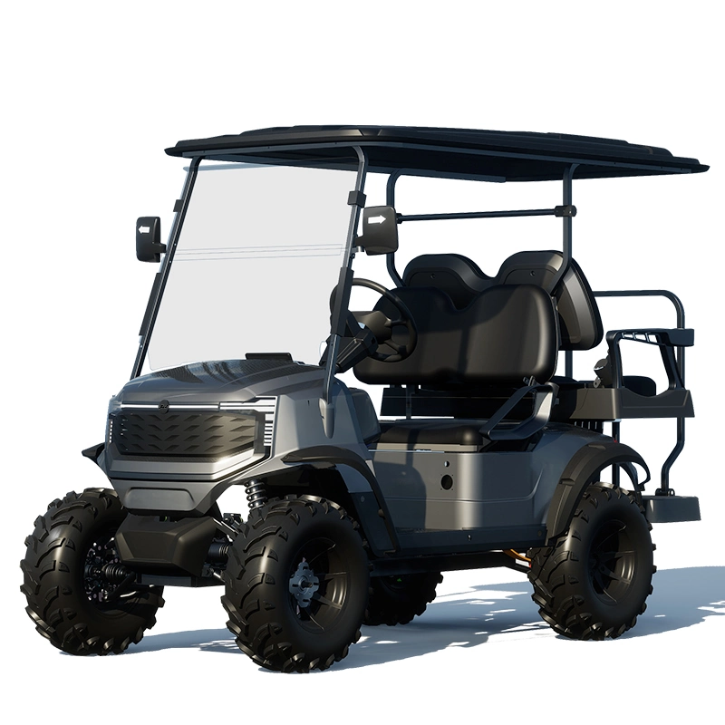 &amp; Gt; 30 Km/H CE Approved OEM Brand 20units/40hq 3units/Crate Buggy Golf Car