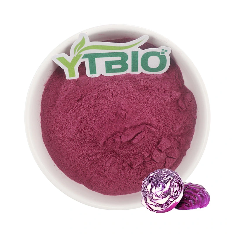 Wholesale Purple Cabbage Powder Vegetable Powder Purple Cabbage Powder