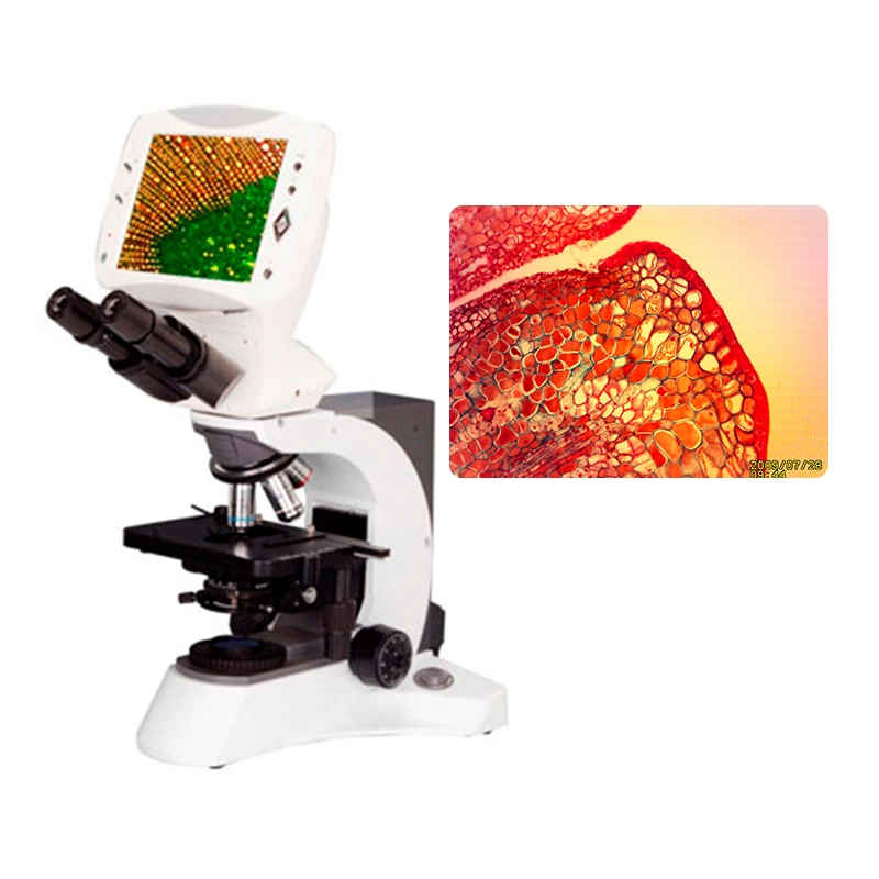 Professional Digital LCD Binocular Microscope