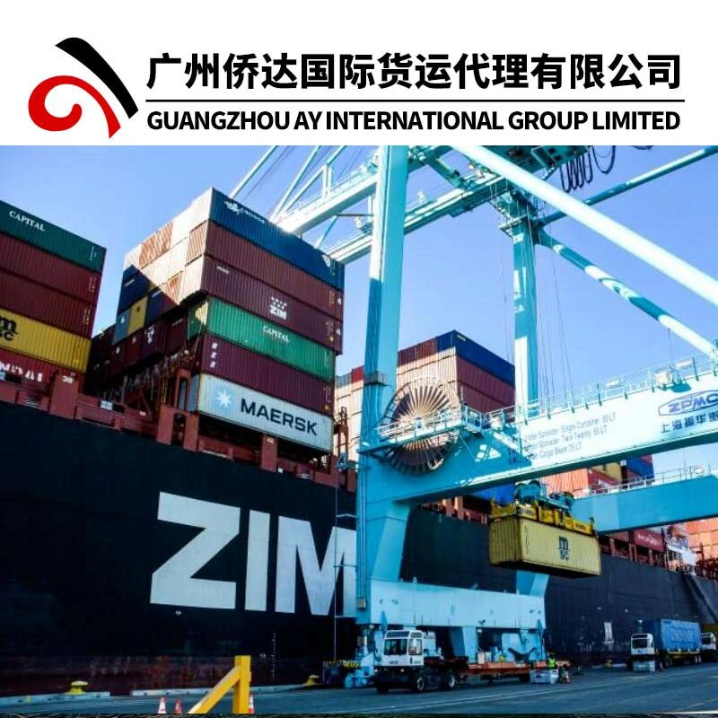 USA Shipping Companies Provide 20'/40' From Shanghai-Ningbo-11 Days-Oakland-Los Angeles by Zim