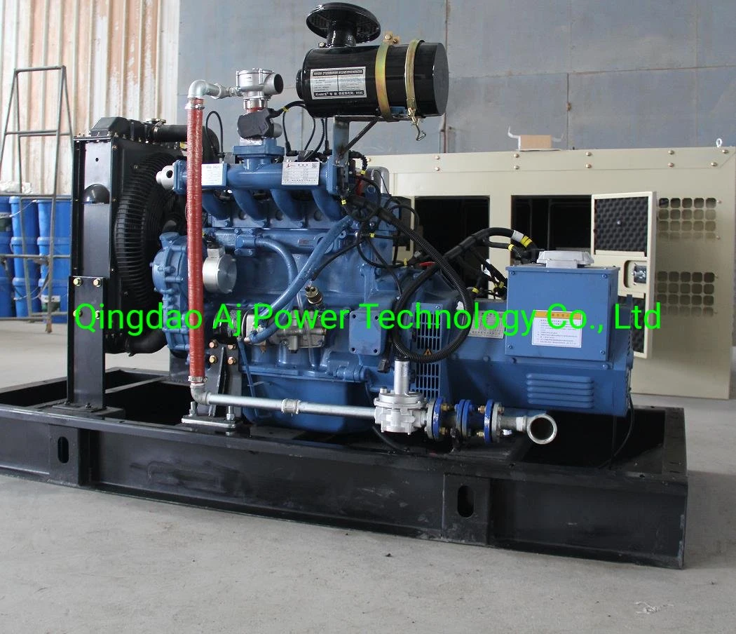 Cheap Price Ricardo 16kw 20kVA CNG Generator Set