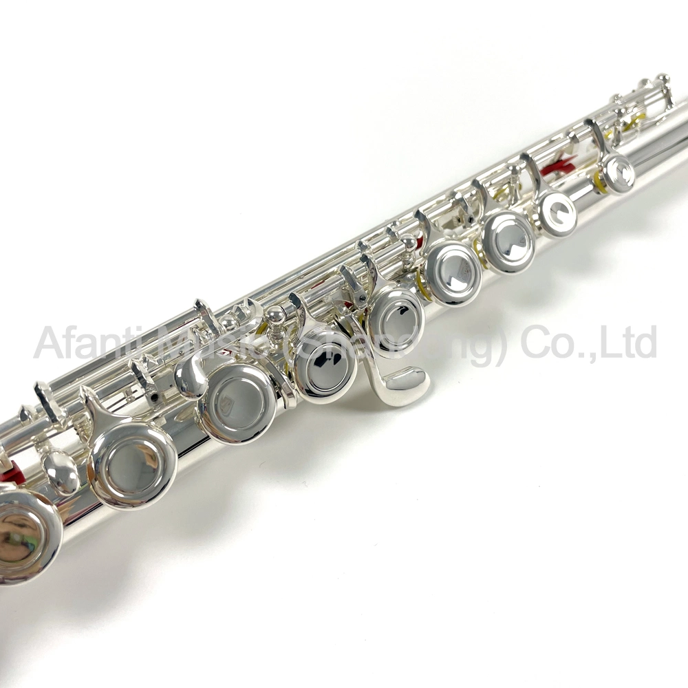 Afanti Selection 2 Layer Plated High Quality 16 Holes Silver Flute