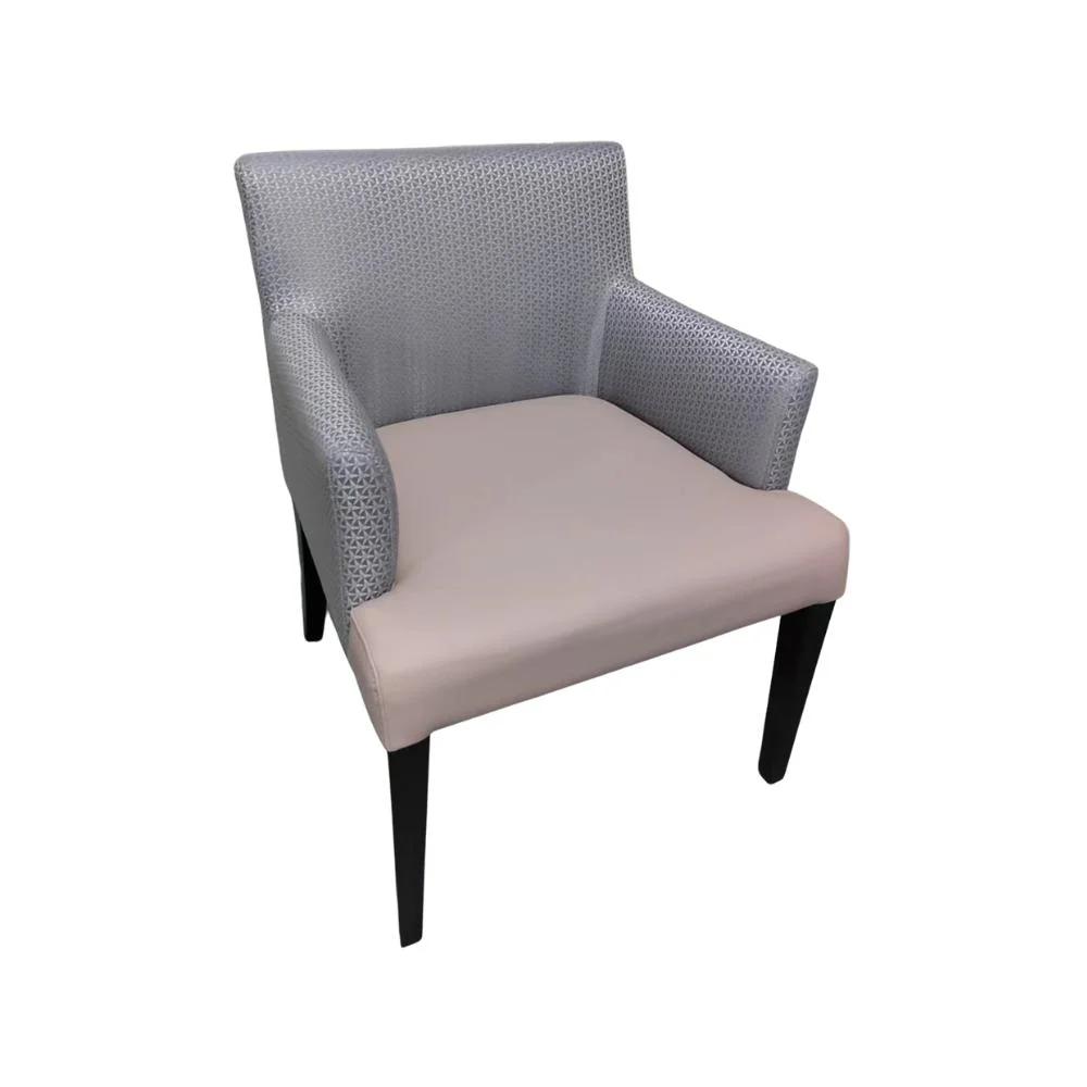 Armchair Metal or Wood Frame Chair Living Room Chairs for Home Hotel Lounge