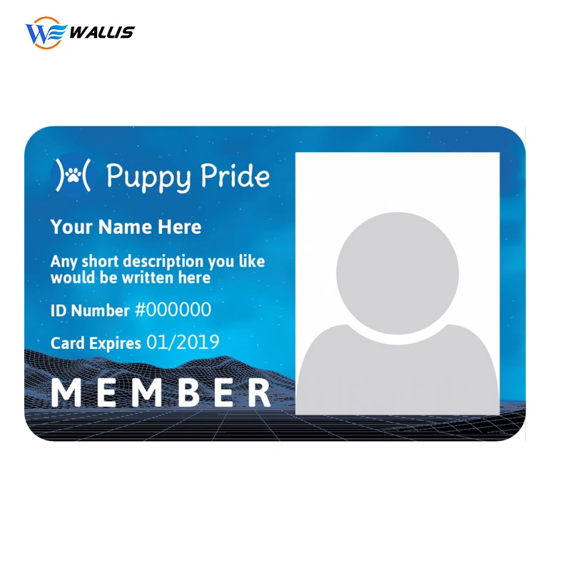 Custom Printable Inkjet Waterproof PVC Plastic Transparent Clear Business Card/ Business Name Card/VIP Membership Card