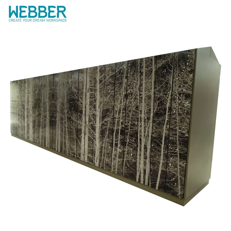 China New Webber Cartons ISO9001: 2000, ISO14001: 2004 Supermarket Locker Furniture