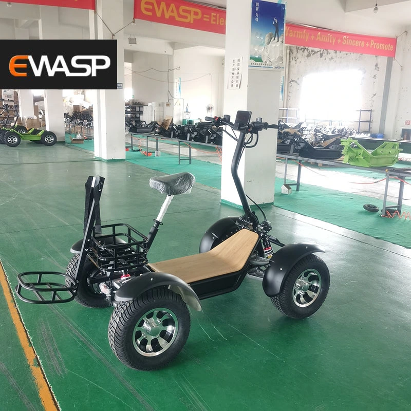 مونستر 2 مقعد رينلي 6000W 4X4 Sport Buggy /Go Kart