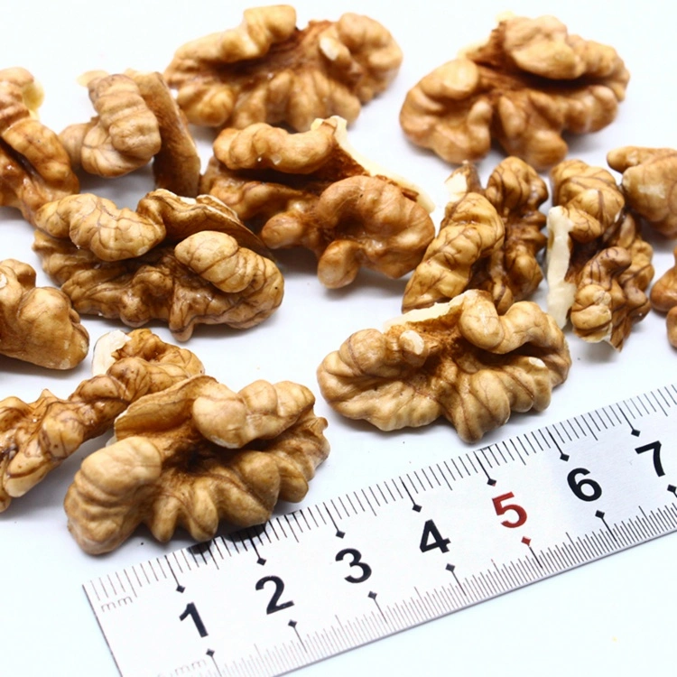 Large Quantities of Xinjiang Walnut Origin for High-Quality Organic Pure Natural Walnuts