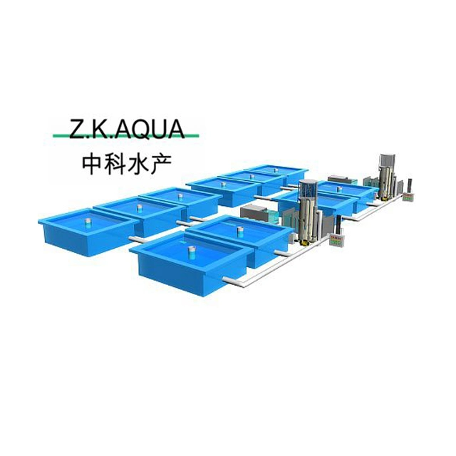 China Professional Manufacturer Factory Made Ras System Fish Farming Aquarium Filtration System Ras