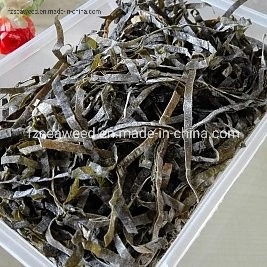 Natural Seaweed Contains Iodine, Sea Algae Cut Sun Laminaria Japonica