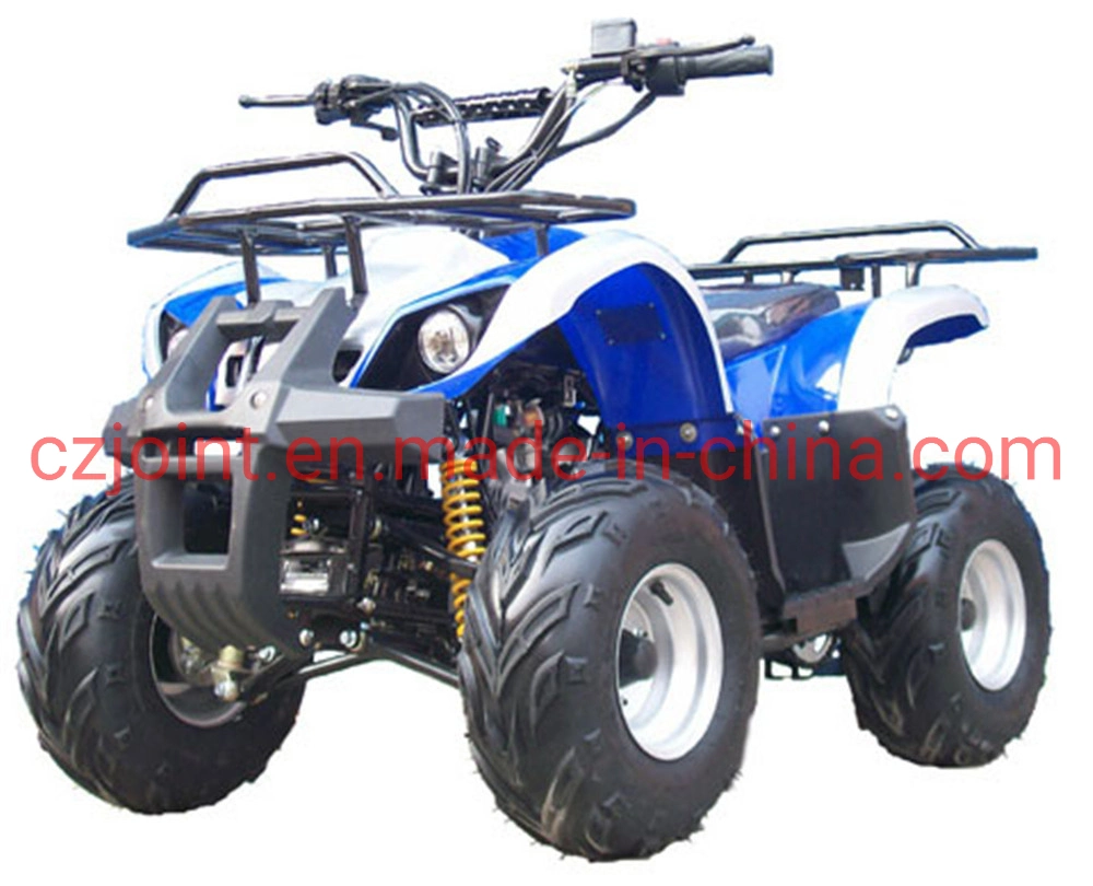 110cc 125cc Quad Bike 4 Wheeler ATV 4X2 Driving