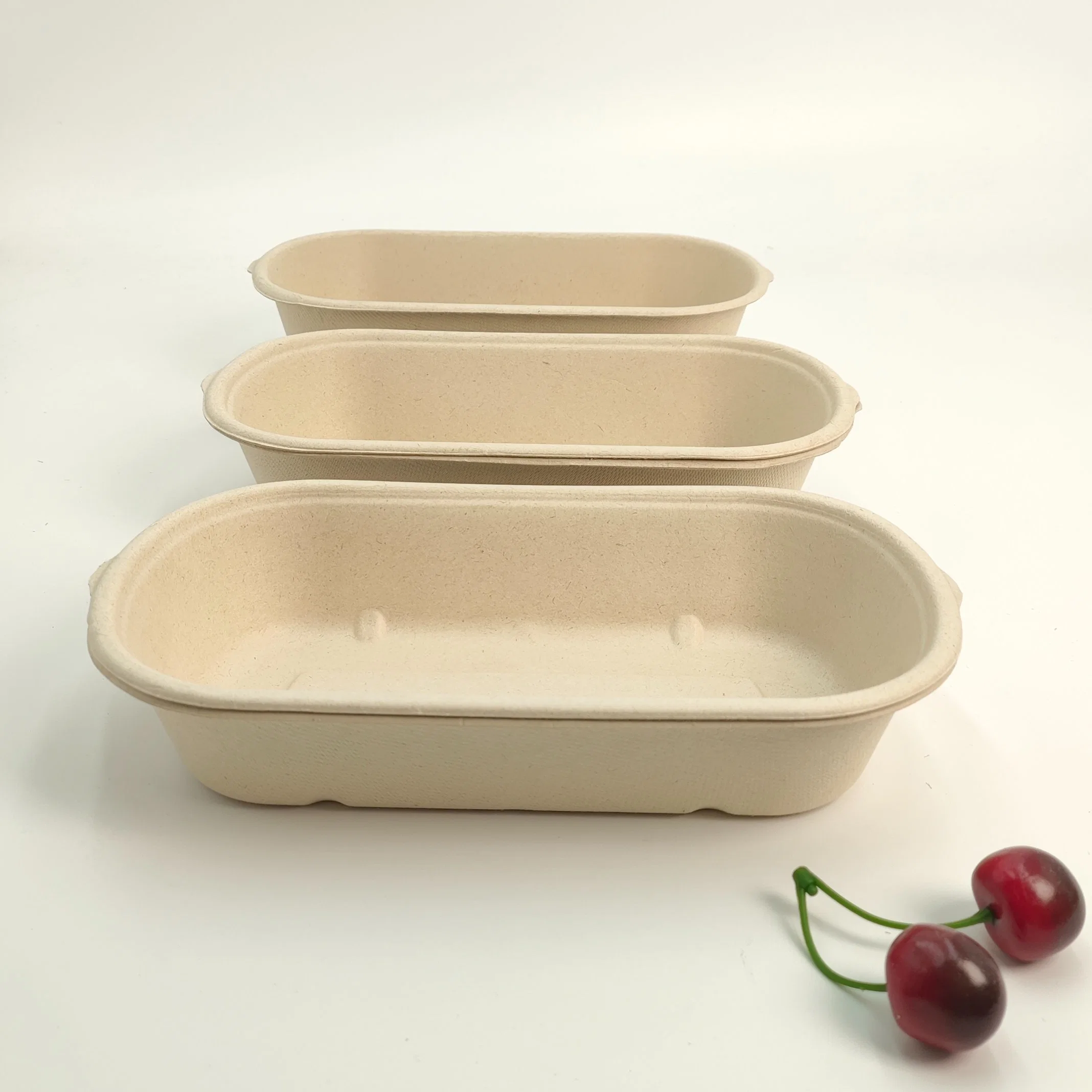 Disposable Food Packing Sugarcane Bagasse Restaurant Takeaway Box with Lid