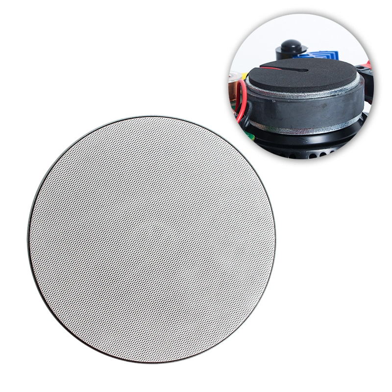 95-12000Hz Freq Resp Portable Ceiling Speaker with Knob Control