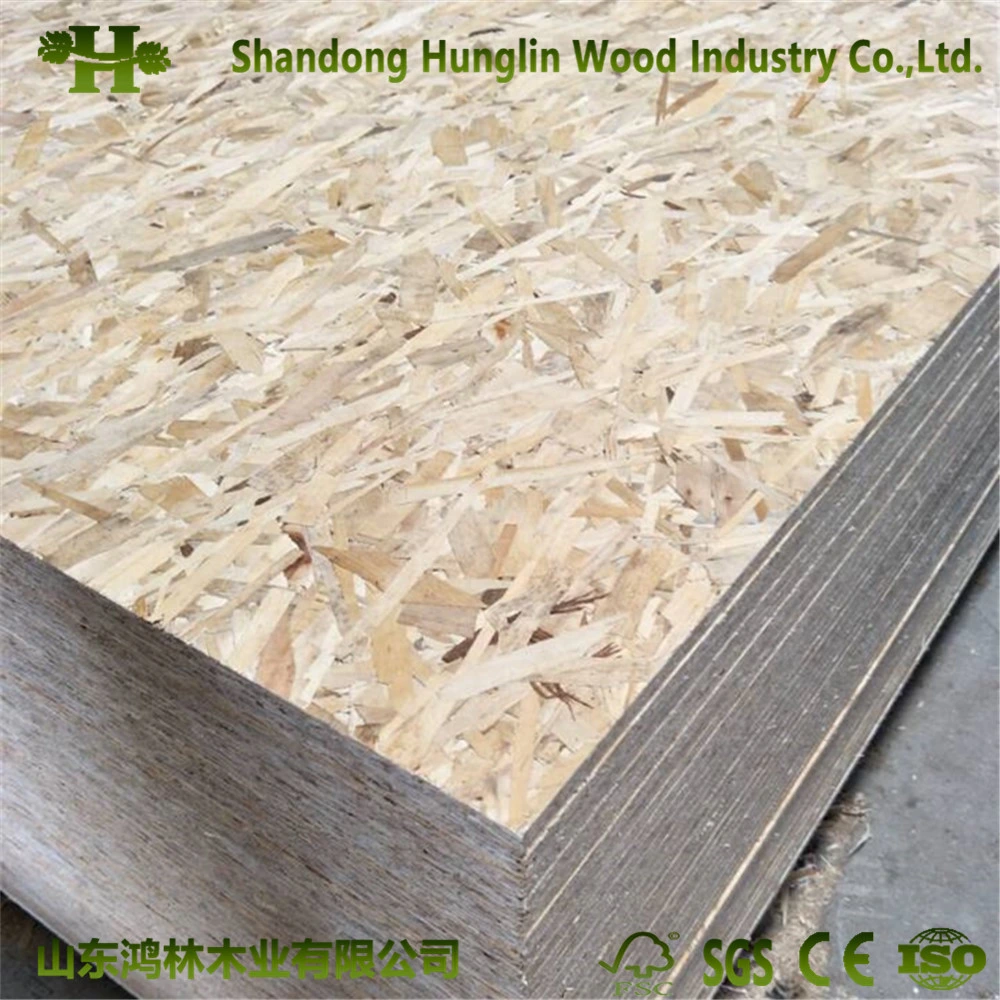 Chinese Suppliers Water Proof WBP Glue Construction Use OSB 3