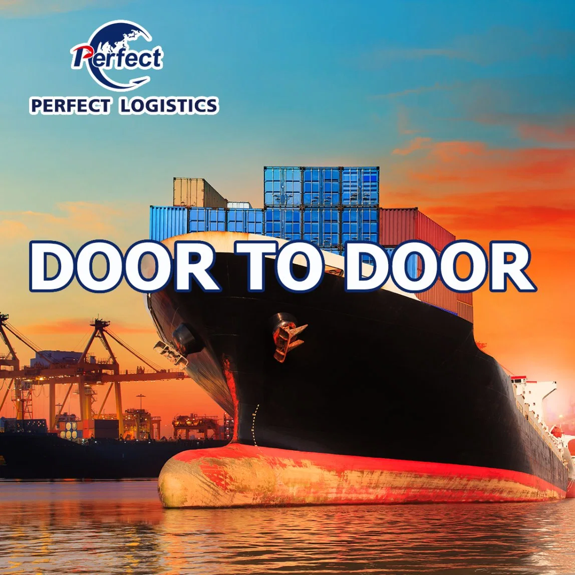 Servicio de envío de carga de mar de Transportista de carga de China a EE.UU