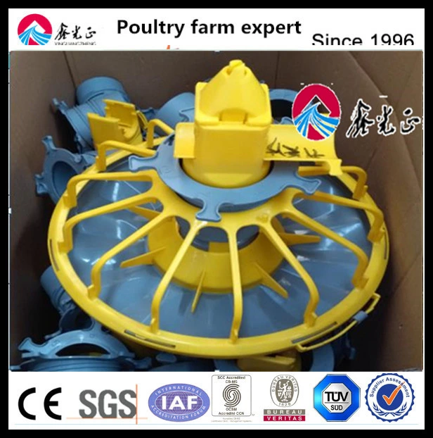 Venta caliente granja avícola Diseño de equipos automáticos para pollos de engorde y Criadores