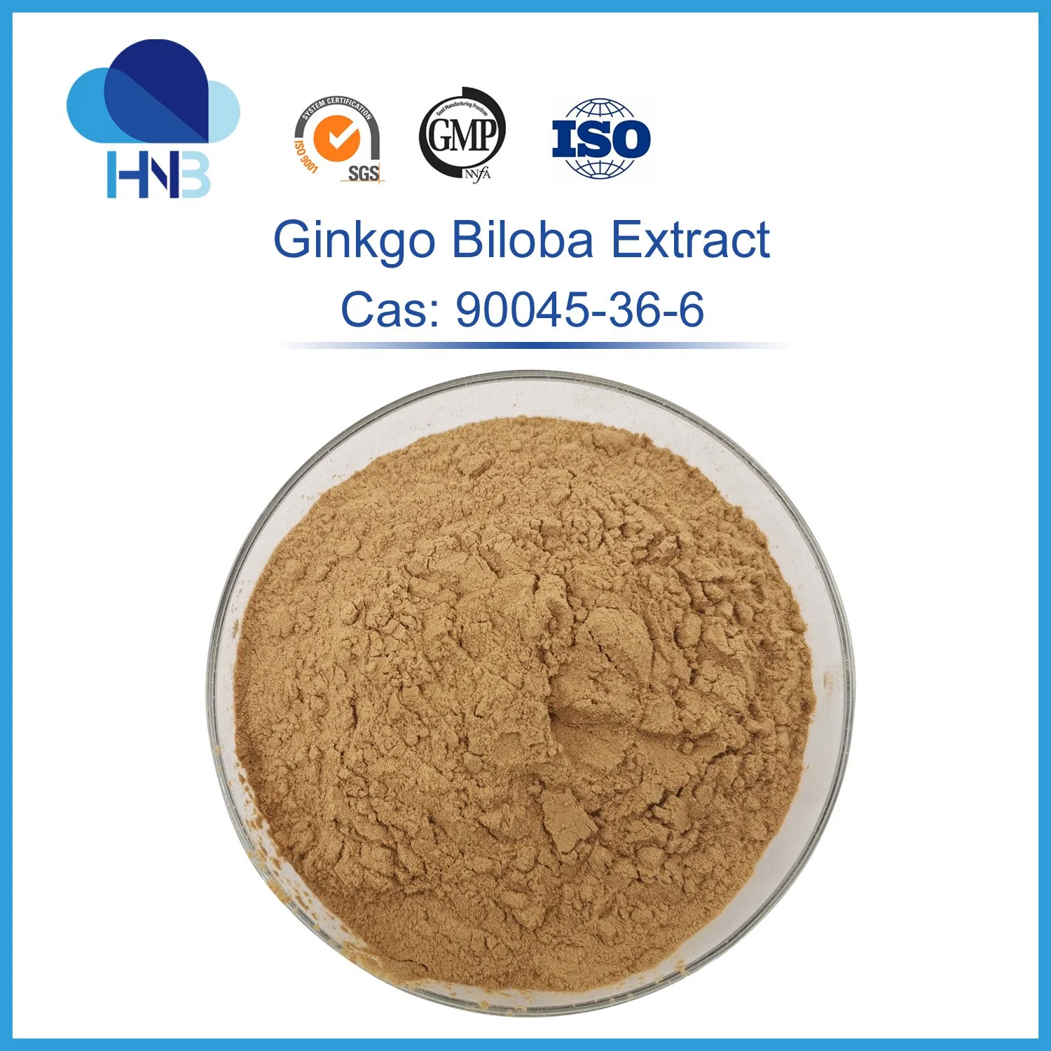 Natural Herbal Extract Ginkgo Biloba Extract Powder