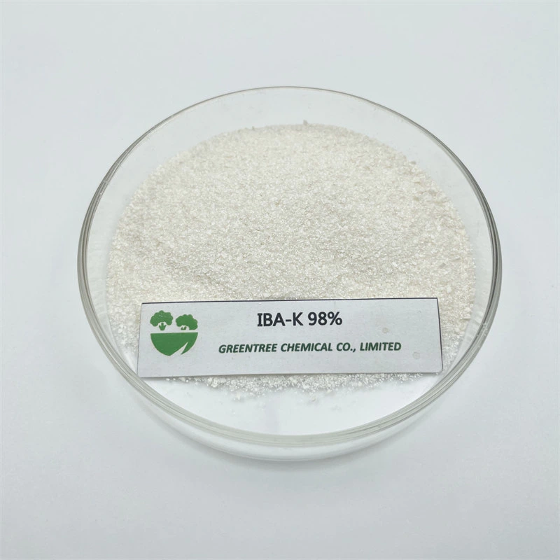 Iba-K Indole Butyric Acid Potassium Salt 98%Tc Plant Growth Regulator CAS 60096-23-3