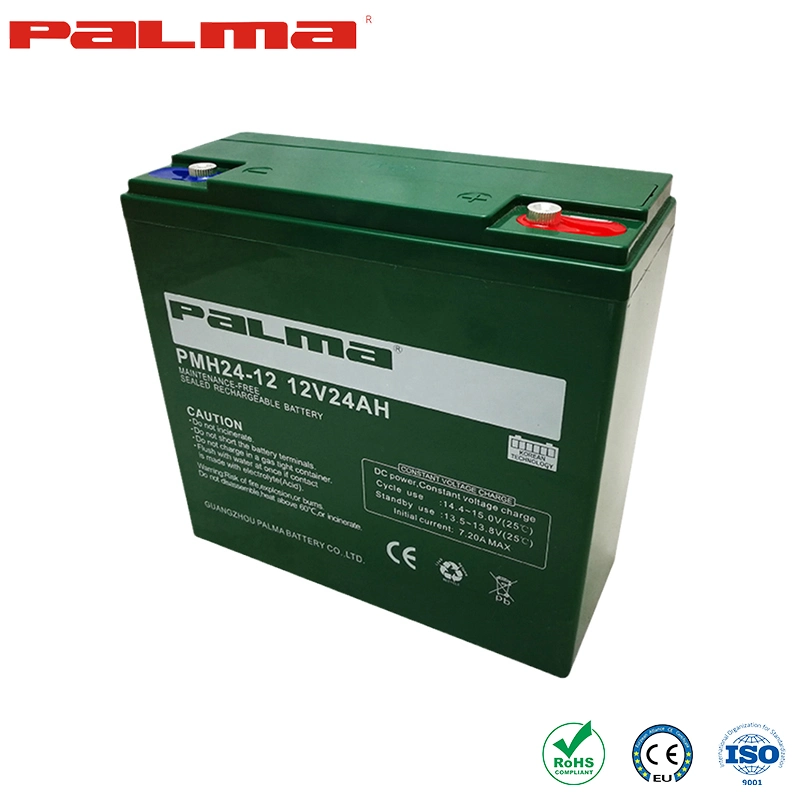 Palma AGM/Gel Battery Rechargeable Battery China Suppliers Gc12-120s Lead-Acid Batteries Adjustable Voltage 12 Volt Golf Cart Batteries