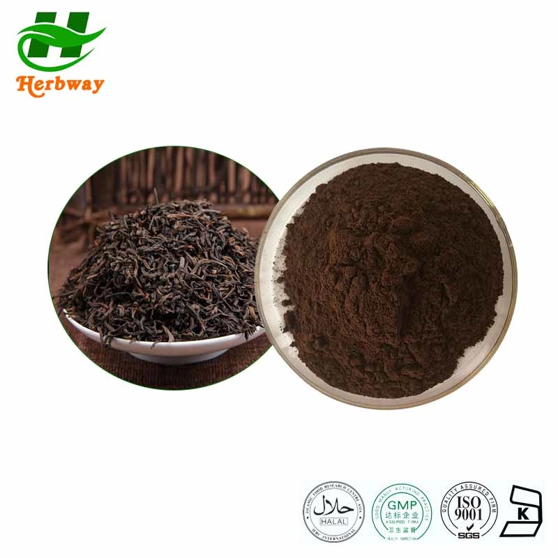 Herbway Kosher Halal Fssc HACCP Certified Botanical Extract PU-Erh Tea Extract Tea Polyphenols