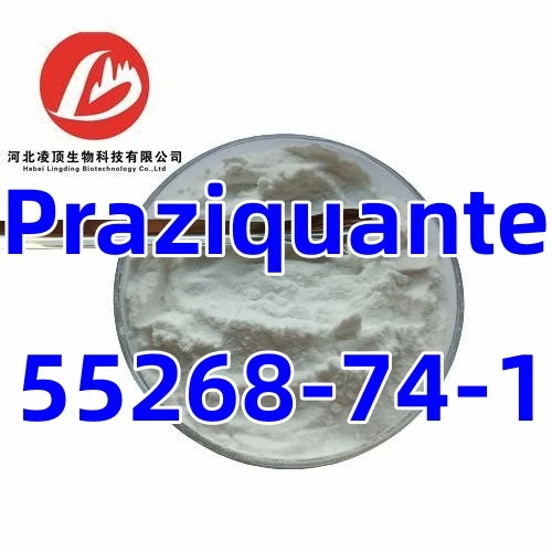 Prazi-Quantel Powder CAS 55268-74--1, a High quality/High cost performance  Broad Spectrum Deworming Drug Synthetic Raw Material