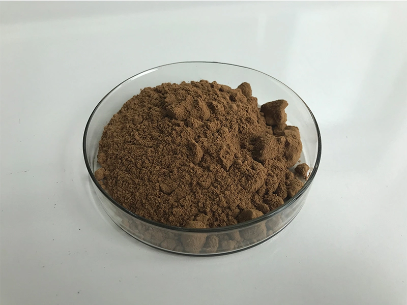 Enhance Immunity Ganoderma Lucidum Spore Powder