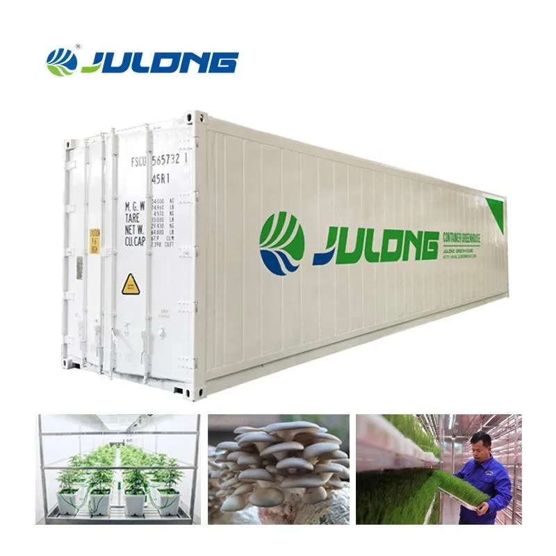 40ft Container LED Indoor Grow Light Fabriken Vertikale Container Pilz Wachsendes System